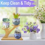Indoor 3-Tier Bamboo Succulent Plant Stand with Contemporary Design Powder Coated Finish for Home and Tabletop Garden Use - Image 2